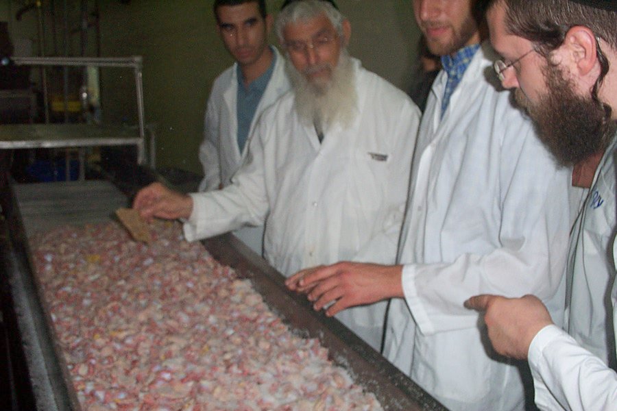 הרב אריאל במפעל עוף קור מדגים לחברי הכולל איך מולחים עופות